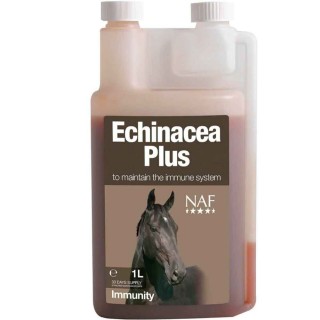 Echinacea - Solhatt NAF