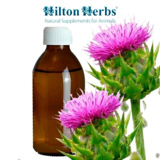 MARIATISTEL tinktur Hilton Herbs