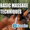 Basic Massage techniques DVD