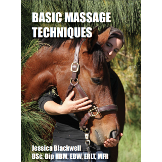 Basic Massage techniques EBOK