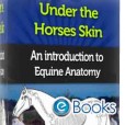 Under the Horses Skin Anatomy Ebok