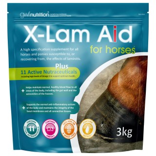 GWF X-lam aid