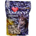 Blueberry & Banana Treats NAF