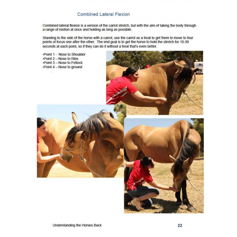 Understanding the Horse's Back Ebok