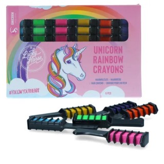Chalk Rainbow Coloured Lucky Horse Unicorn