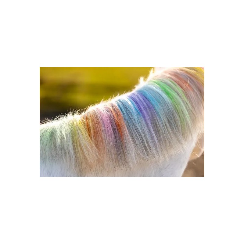 Chalk Rainbow Coloured Lucky Horse Unicorn