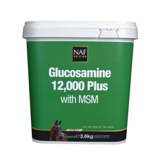Glucosamine 12 000 Plus med MSM NAF