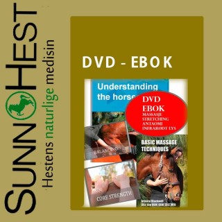 DVD & Ebok massasje - stretching mm